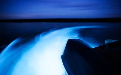 Luminous Lagoon