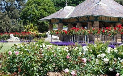 ロイヤル・ボタニック・ガーデン (Royal Botanic Gardens)