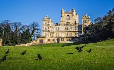 Wollaton Hall and Deer Park