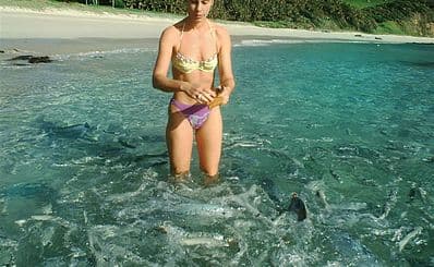 Hand-feeding Fish at Neds Beach