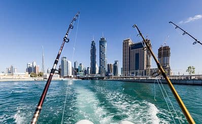 Fishing Tours