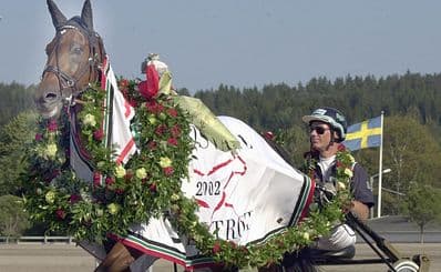 Bergsåkers Trotting Track