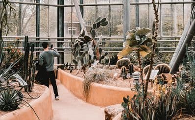 Hortus Botanicus