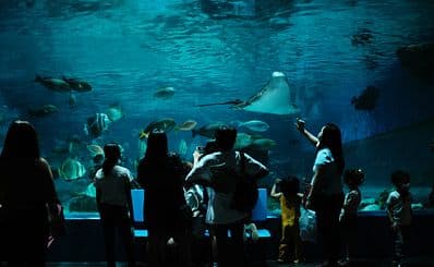 Manila Ocean Park
