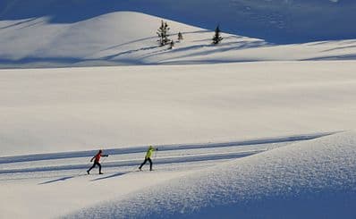 Cross-country skiing