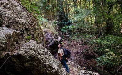 Woko National Park