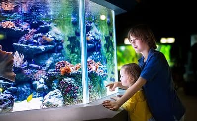 Grand Aquarium