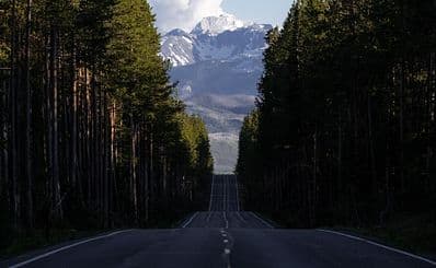 Yellowstone National Park Full-Day Lower Loop Tour
