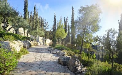 Mount of Olives & Garden of Gethsemane