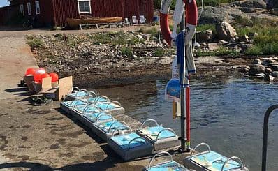 Snorkelling