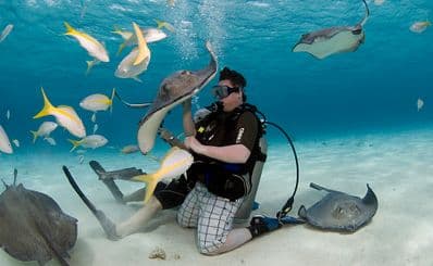 Stingray City