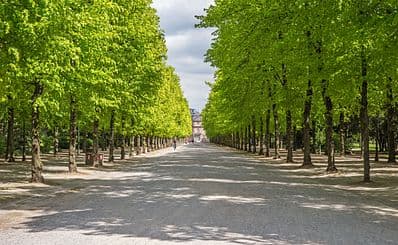 Hofgarten