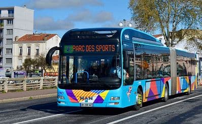 Public Transport