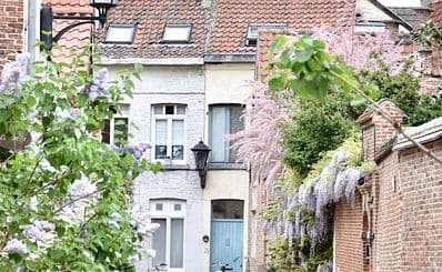 Large and Small Beguinages