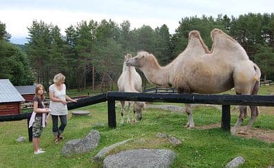 Junsele Zoo