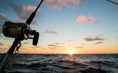 Fishing