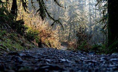 Arnold Rim Trail