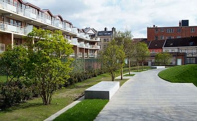 Carmelitan Garden