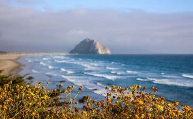Morro Bay State Park
