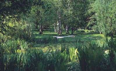 Botanischer Garten Ljubljana