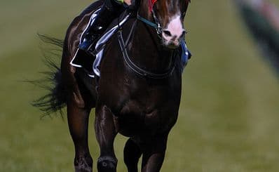 Hippodrome Deauville - Clairefontaine