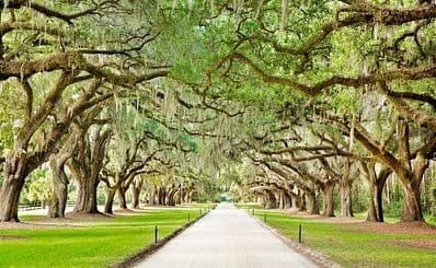 Boone Hall Plantation
