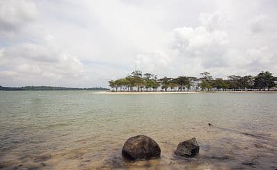 Kayaking through the Mangrove Forest