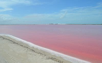 Las Coloradas & Río Lagartos