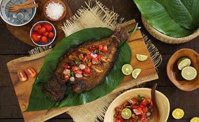 Ikan-Ikan