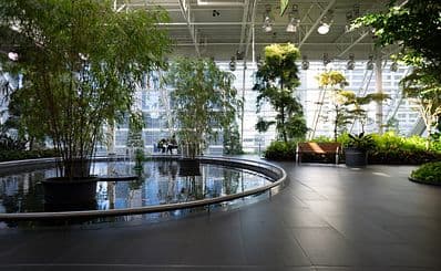Devonian Gardens