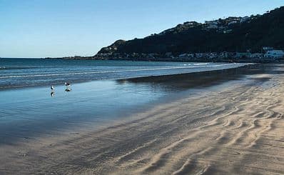 Maranui Surf Life Saving Club