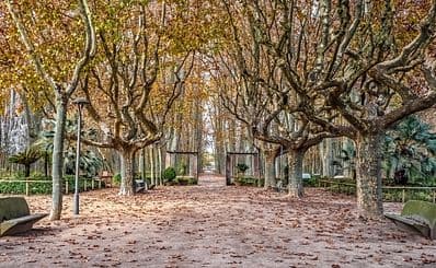 La Devesa Park