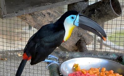 Emperor Valley Zoo