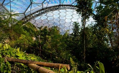 The Eden Project