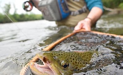Sedona's Rainbow Trout Farm