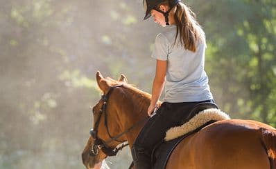 Horse Rides