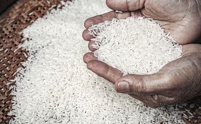 Ho'opulapula Haraguchi Rice Mill