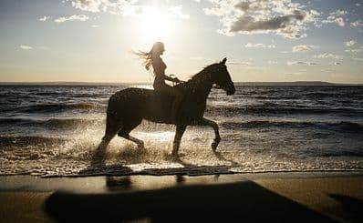 Horseback Riding on the Beach