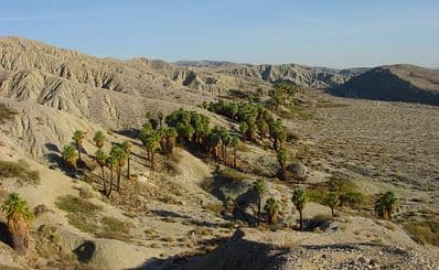 Coachella Valley National Wildlife Refuge
