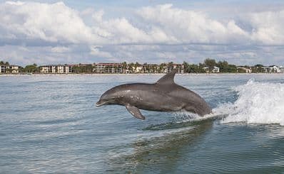 Captiva Island & Turner Beach