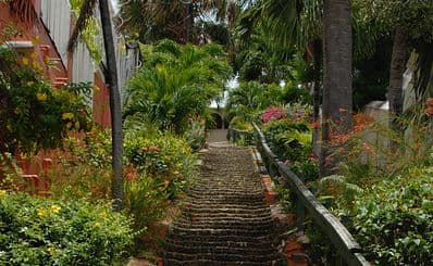 99 Steps to the Blackbeard’s Castle