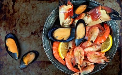 Gamba