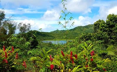 Grand Etang National Park