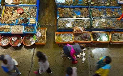 Noryangjin Fish Market