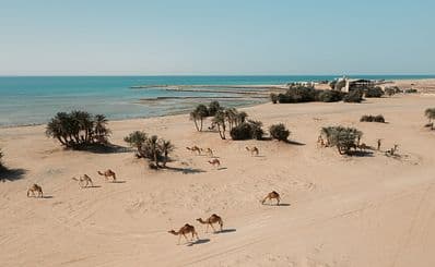 Umm Bab Beach
