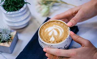Huckleberry Roasters