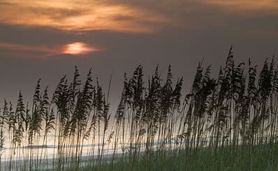 Huntington Beach State Park