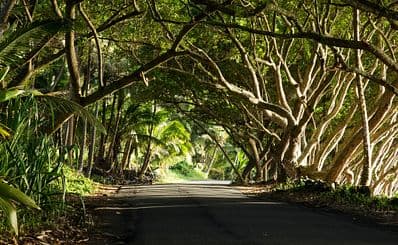 Mamalahoa Kona Heritage Corridor