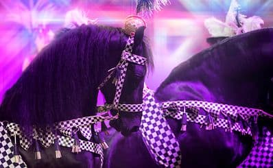 Dolly Parton's Stampede
