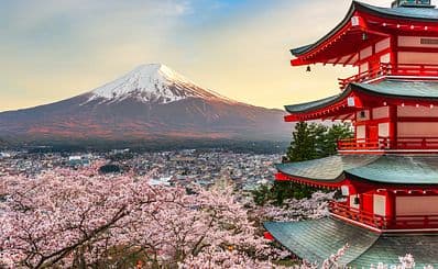 Mount Fuji & Hakone 1-Day